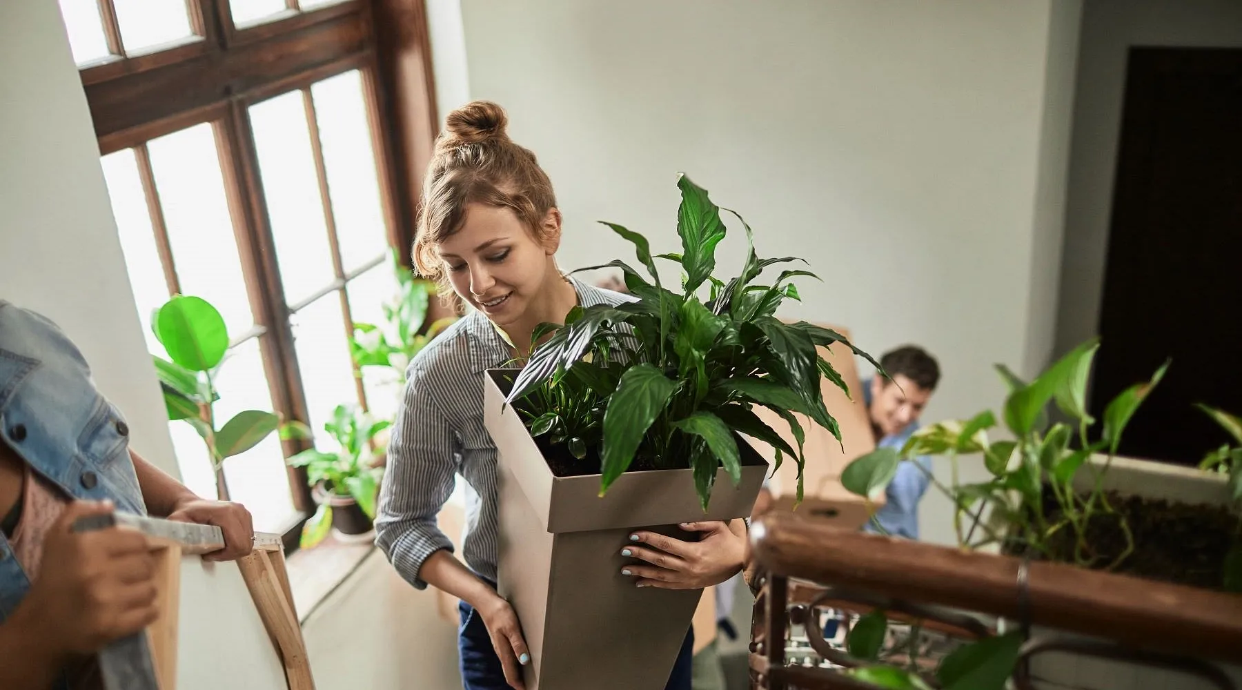 Moving House Mortgage - DNG Financial Services